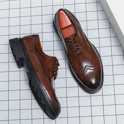 Chaussures Habillées à Lacets pour Homme avec Détails Wingtip et Perforations