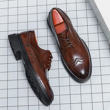 Chaussures Habillées à Lacets pour Homme avec Détails Wingtip et Perforations