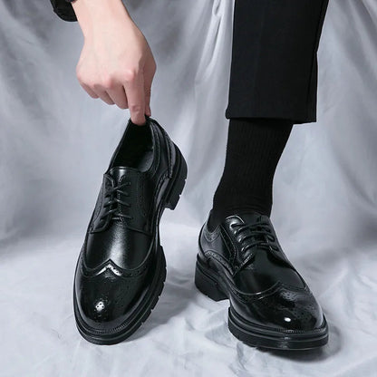 Chaussures Habillées à Lacets pour Homme avec Détails Wingtip et Perforations