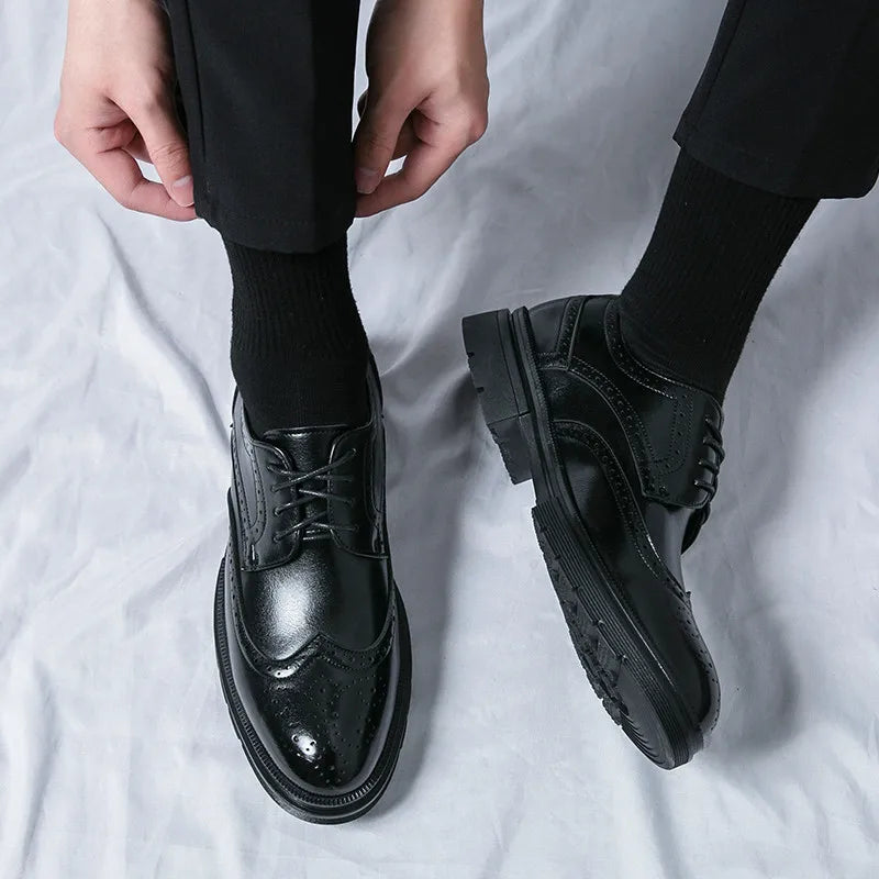 Chaussures Habillées à Lacets pour Homme avec Détails Wingtip et Perforations