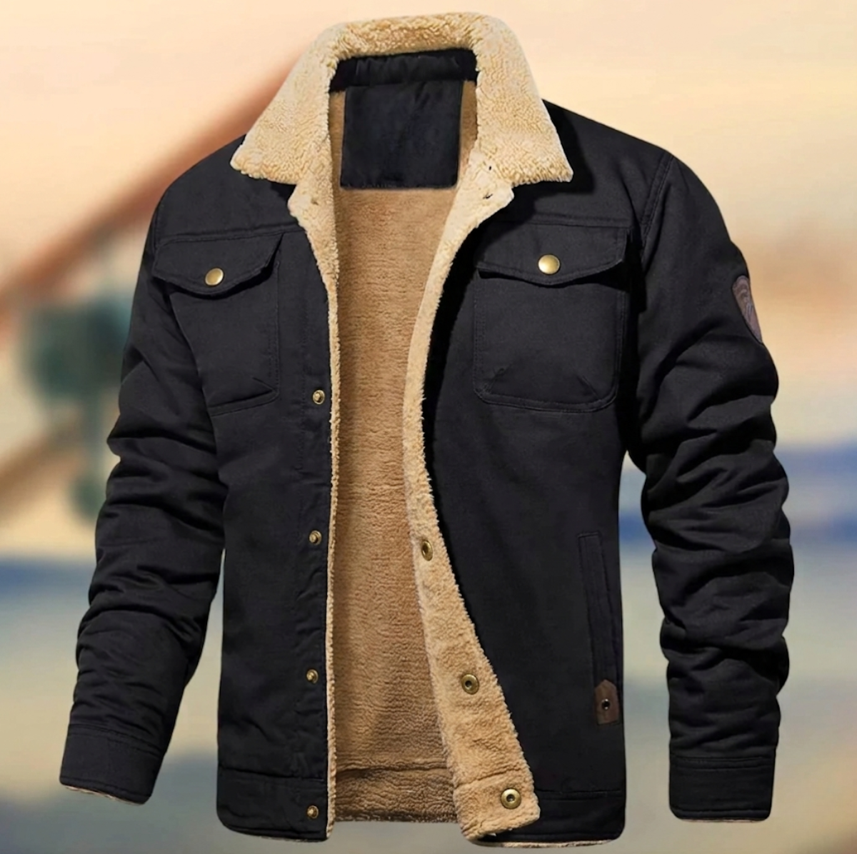 Veste boutonnée pour homme doublée en sherpa 2