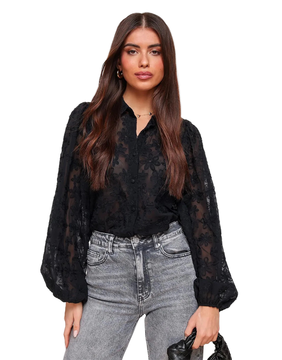 Blouse Women Loose Fit Sheer Floral Embroidered Pattern Black