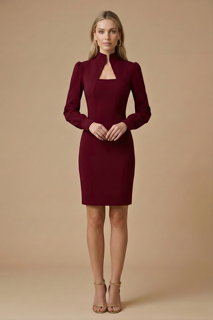 Robe Mini Femme à Manches Longues avec Col Montant et Découpe-Mini Dress-Gigié